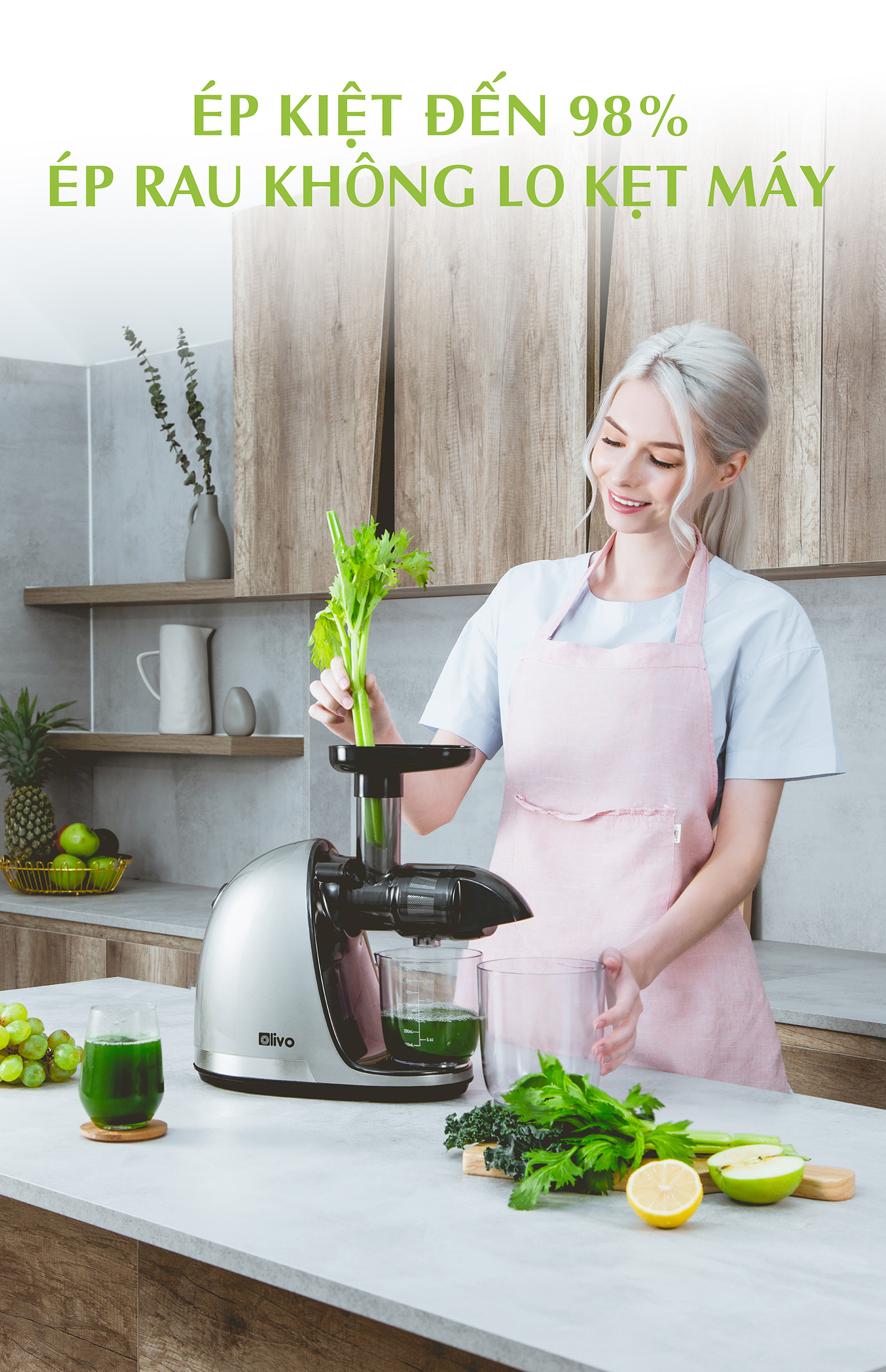 Máy Ép Chậm Trục Ngang OLIVO SJ22