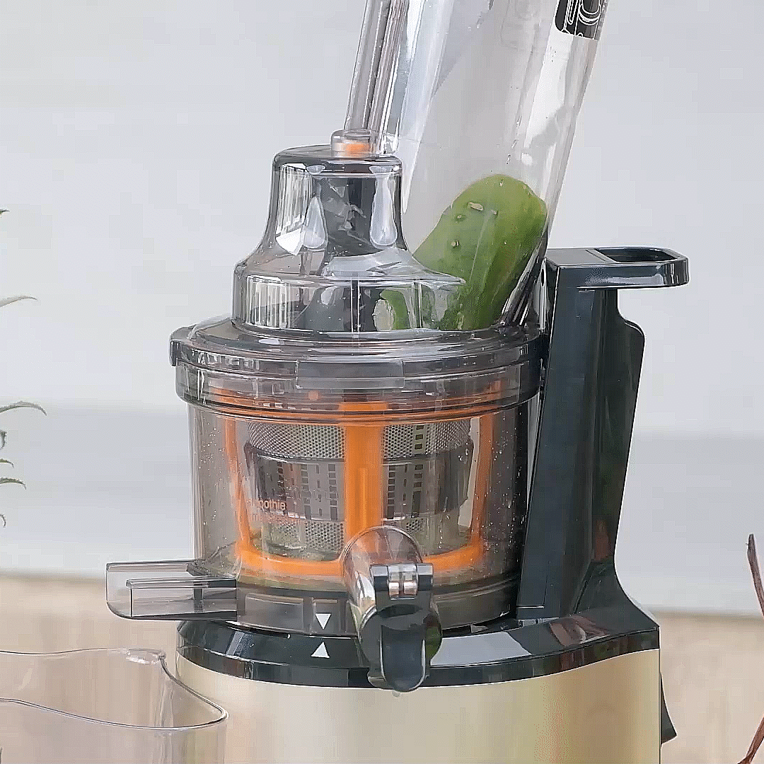 Máy Ép Chậm OLIVO SJ200