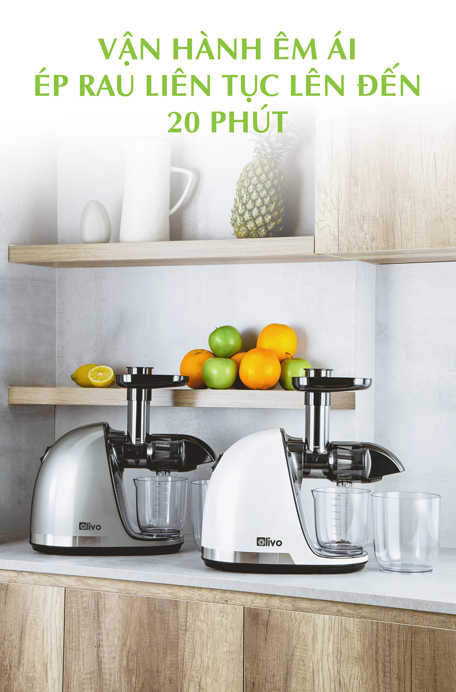 Máy Ép Chậm Trục Ngang OLIVO SJ22