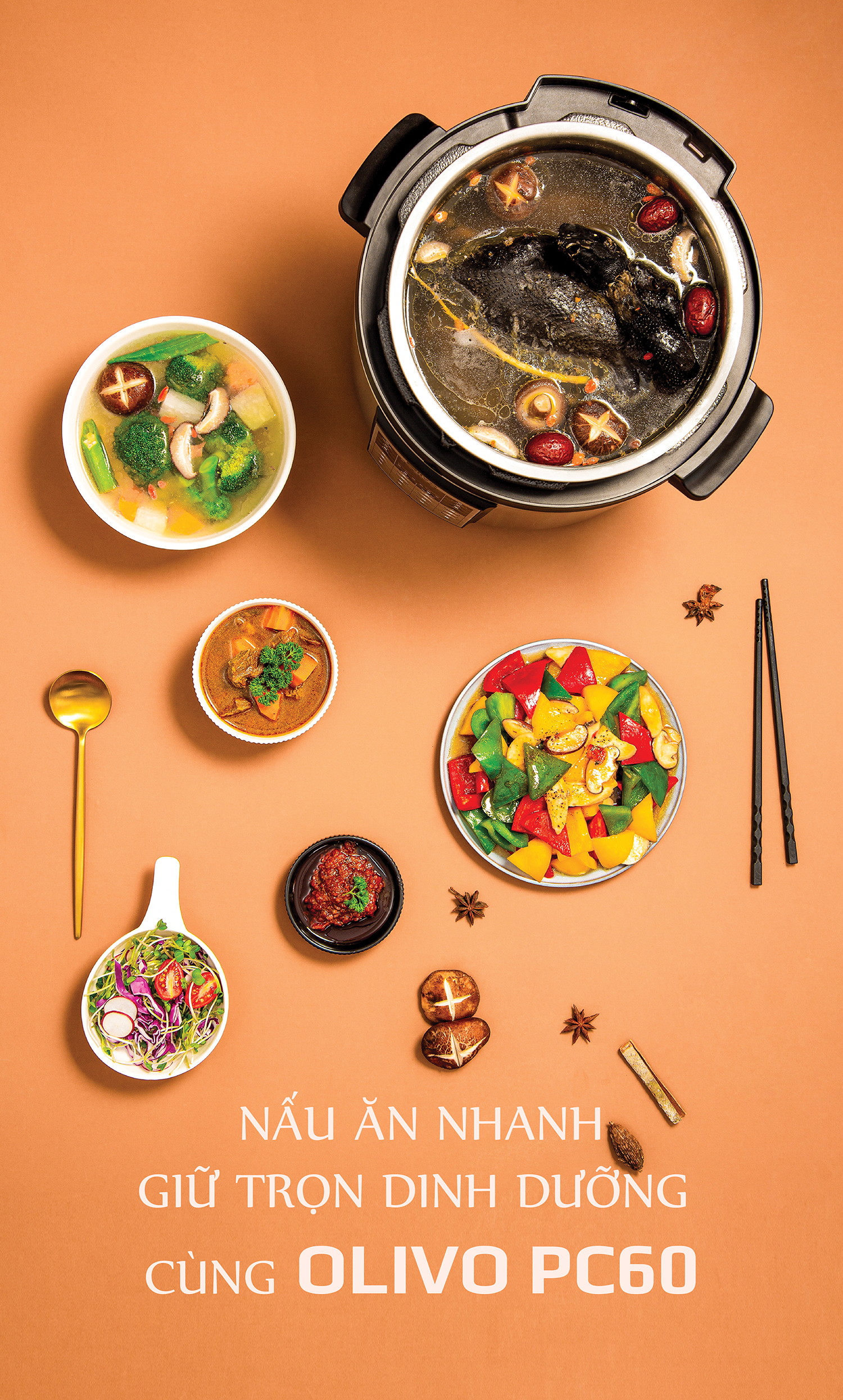 Nồi Áp Suất Điện Đa Năng OLIVO PC60