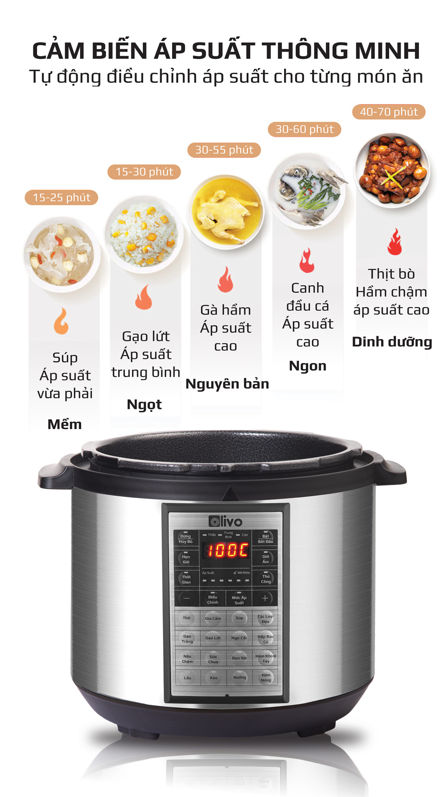 Nồi Áp Suất Điện Đa Năng OLIVO PC60