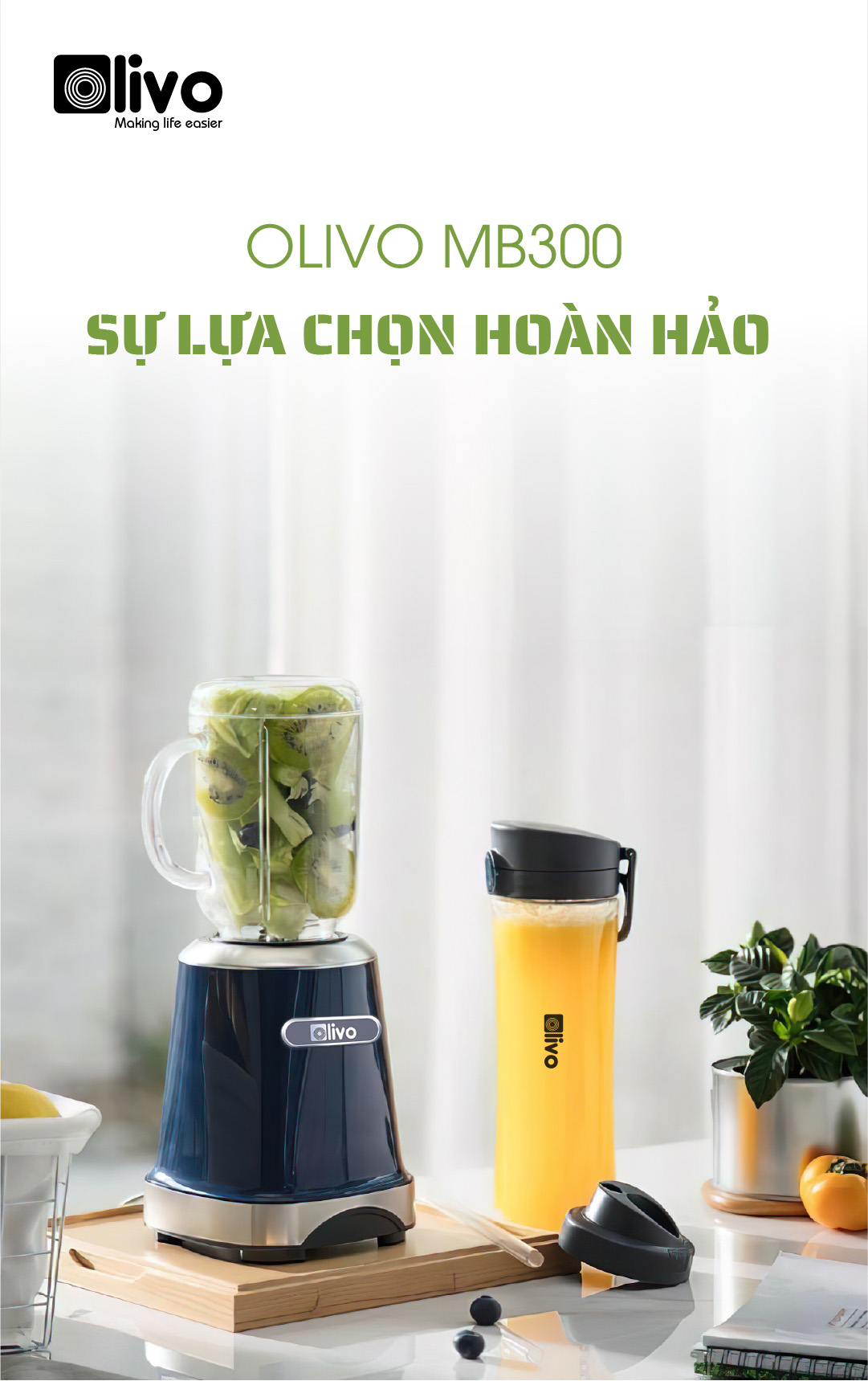 Máy Xay Sinh Tố OLIVO MB300