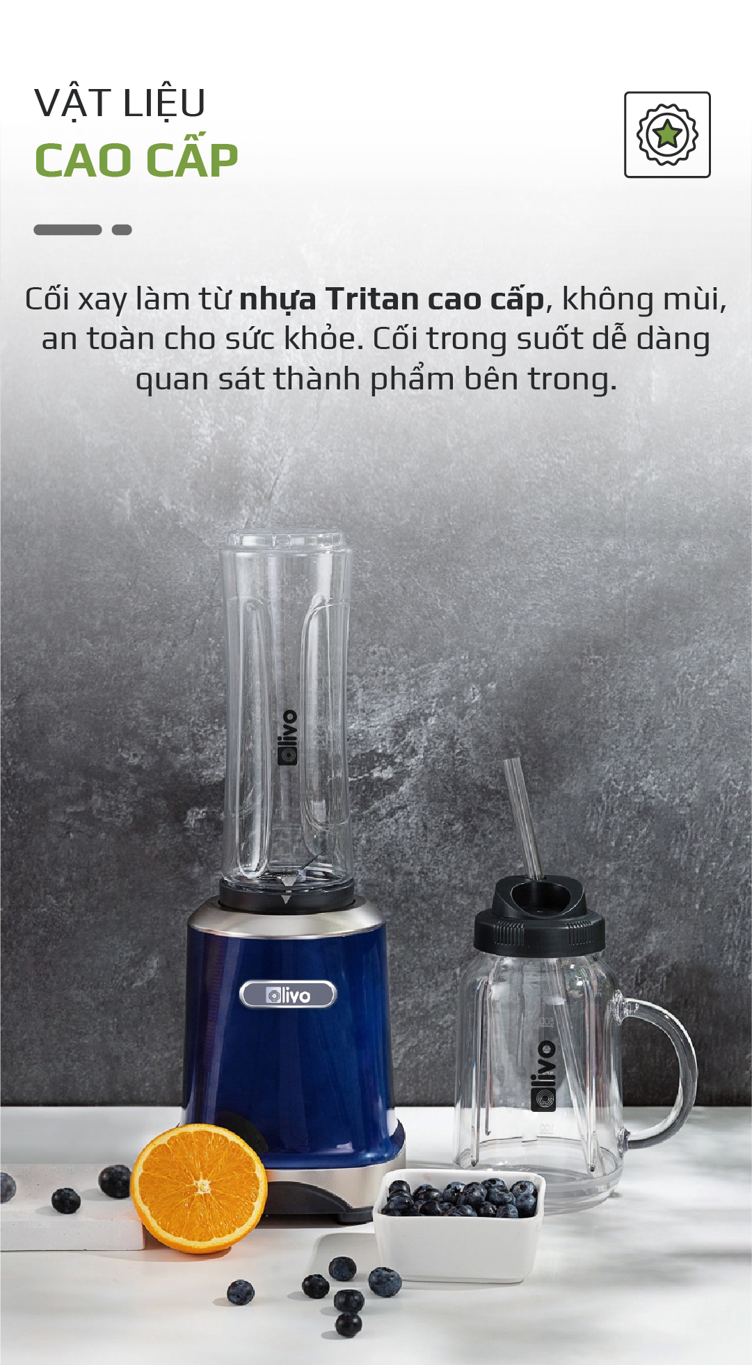 Máy Xay Sinh Tố OLIVO MB300