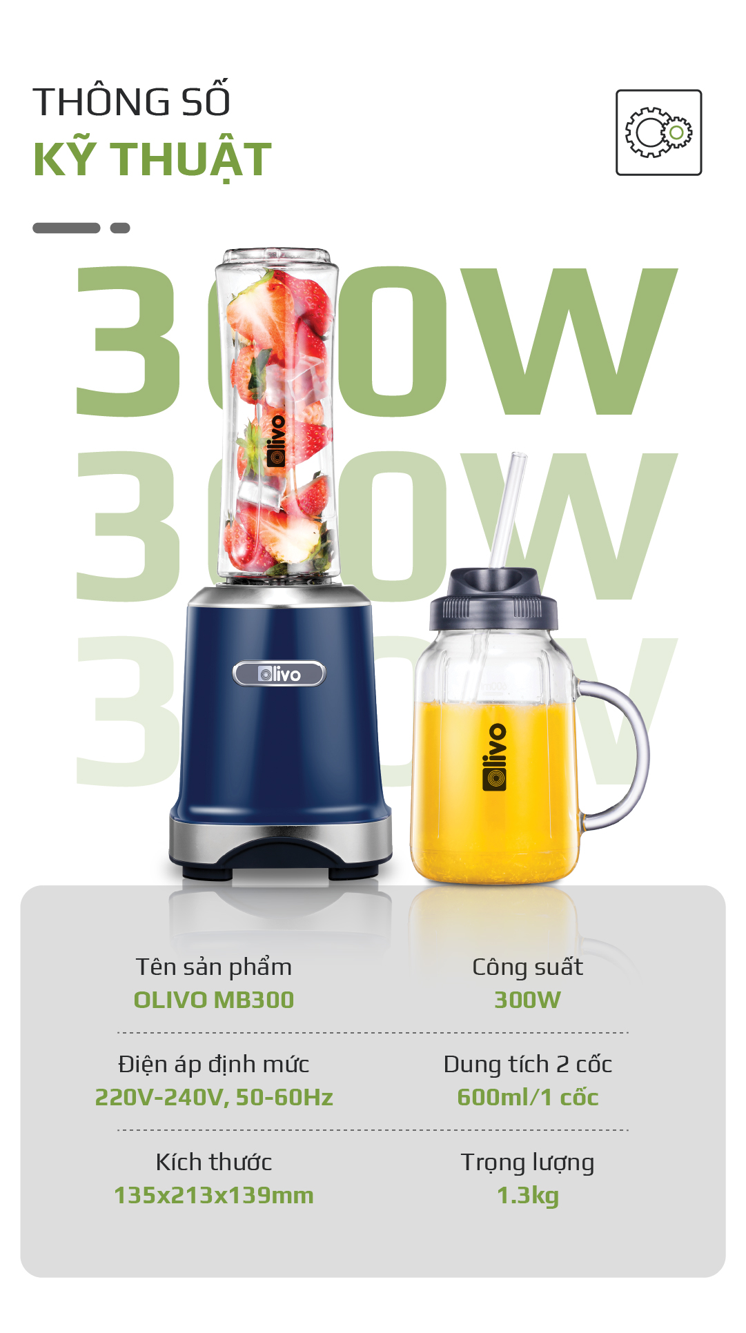 Máy Xay Sinh Tố OLIVO MB300