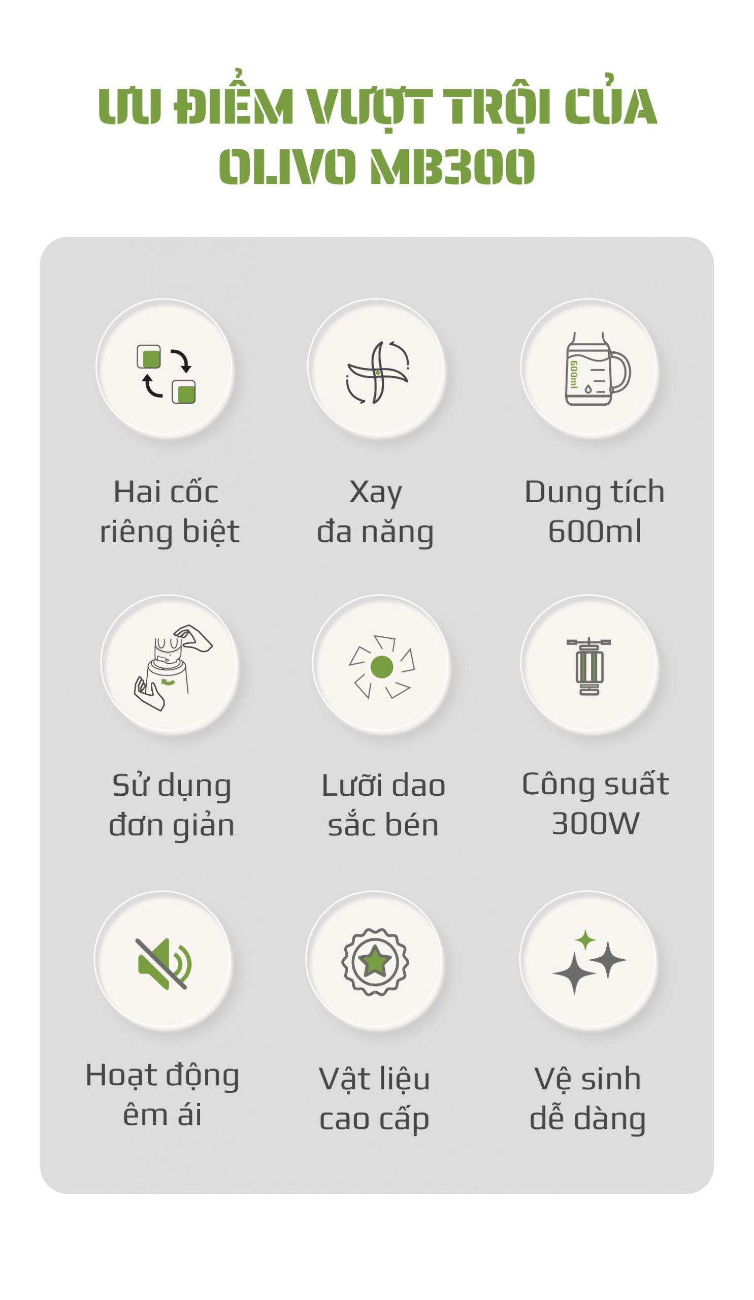 Máy Xay Sinh Tố OLIVO MB300