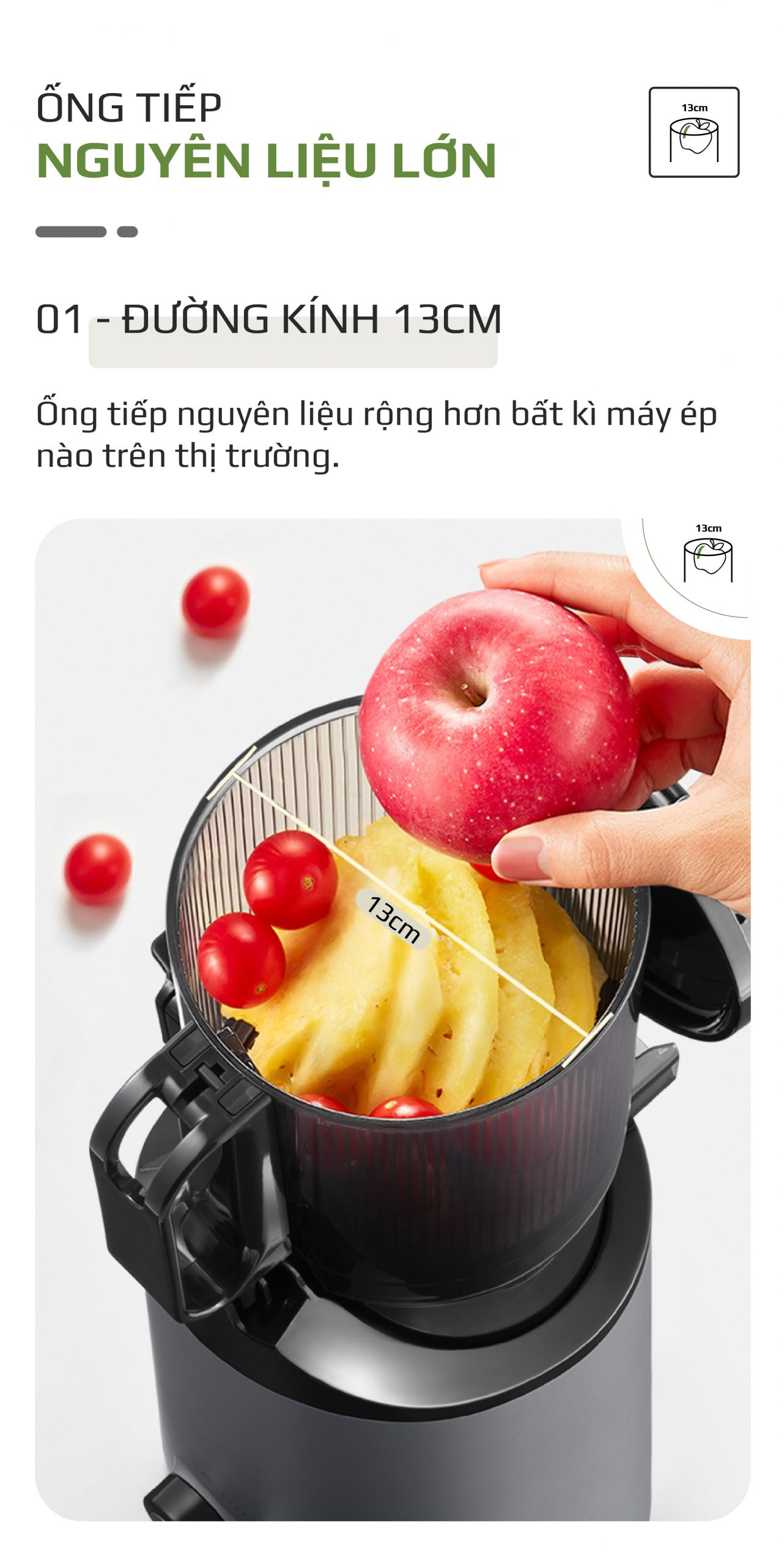 Máy Ép Chậm OLIVO SJ196