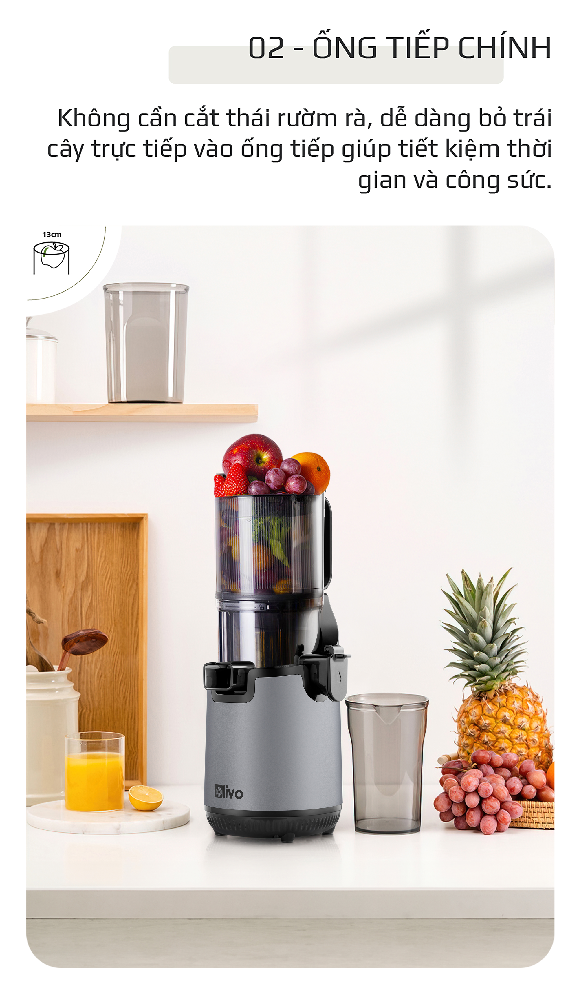 Máy Ép Chậm OLIVO SJ196