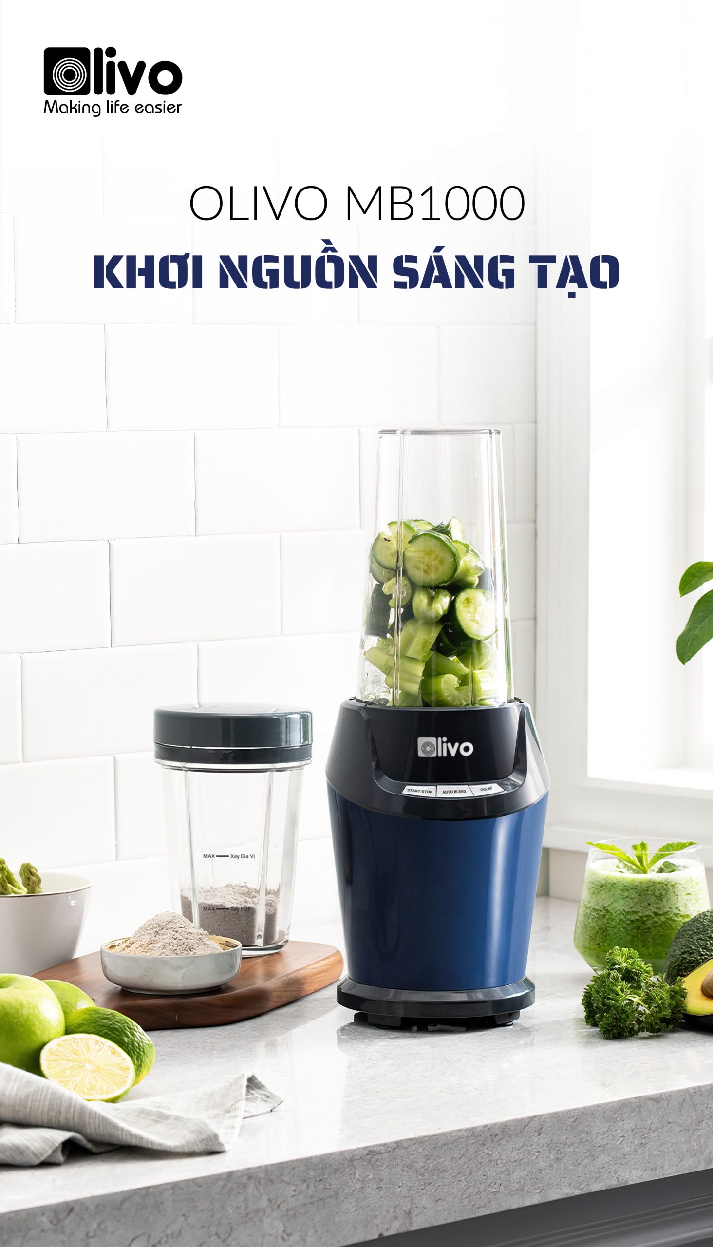 Máy Xay Sinh Tố OLIVO MB1000