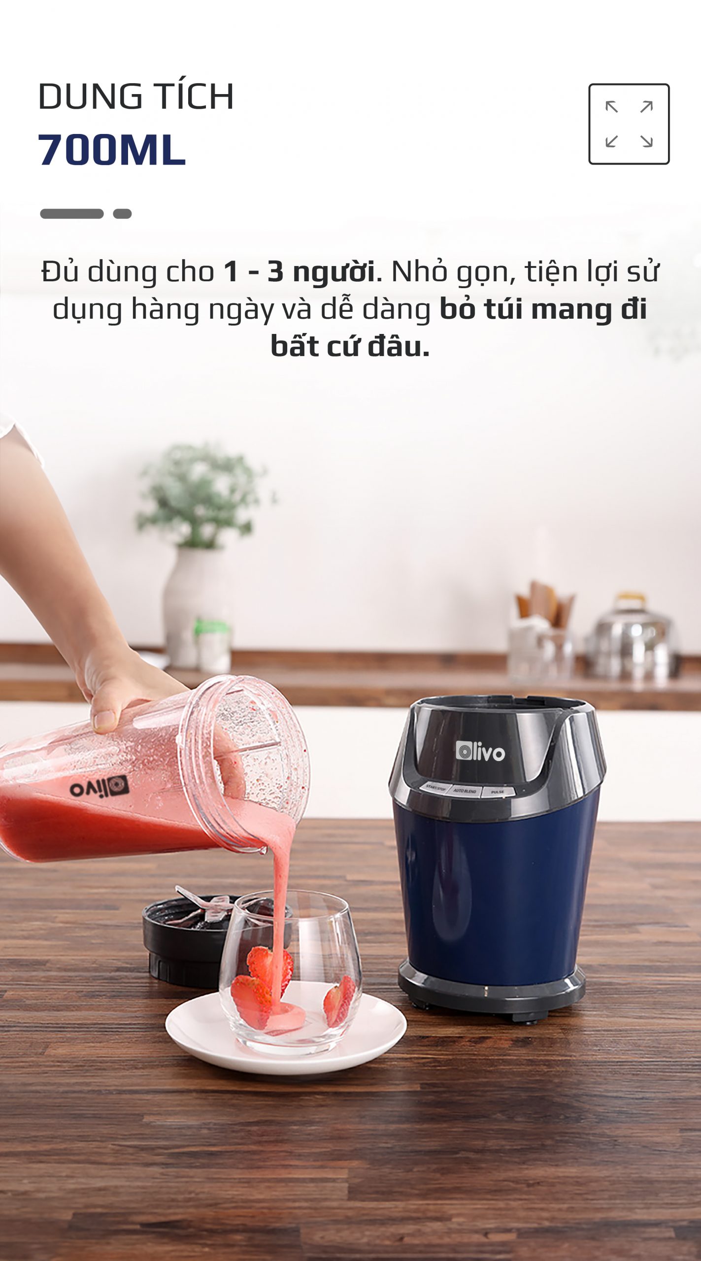 Máy Xay Sinh Tố OLIVO MB1000
