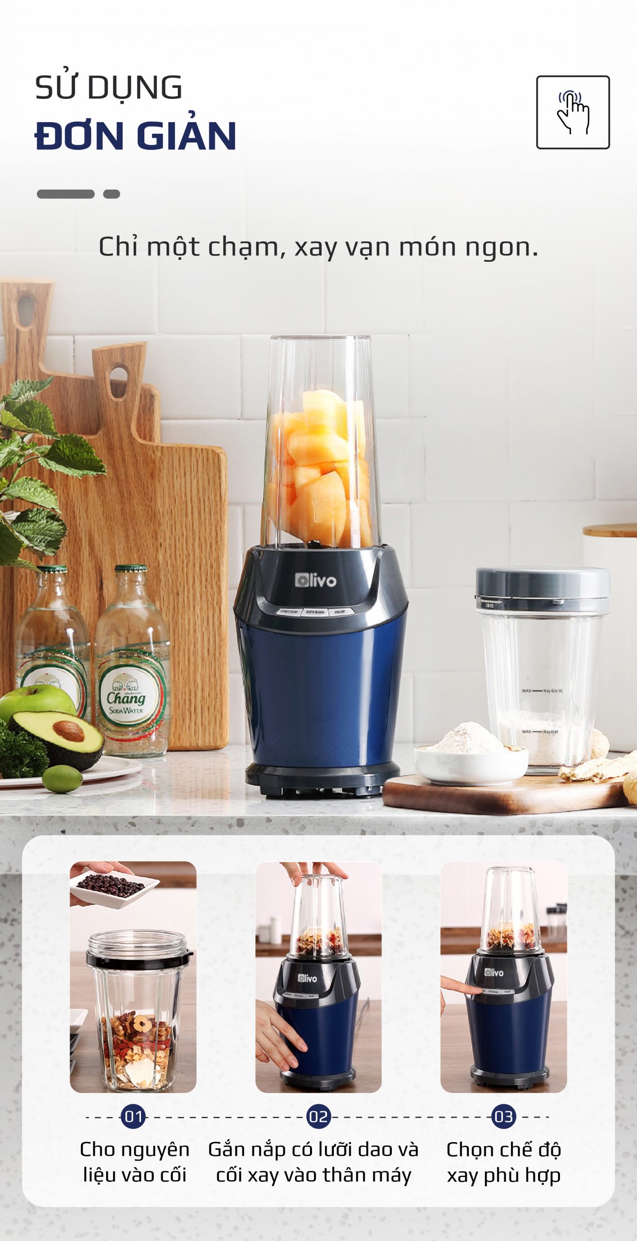 Máy Xay Sinh Tố OLIVO MB1000