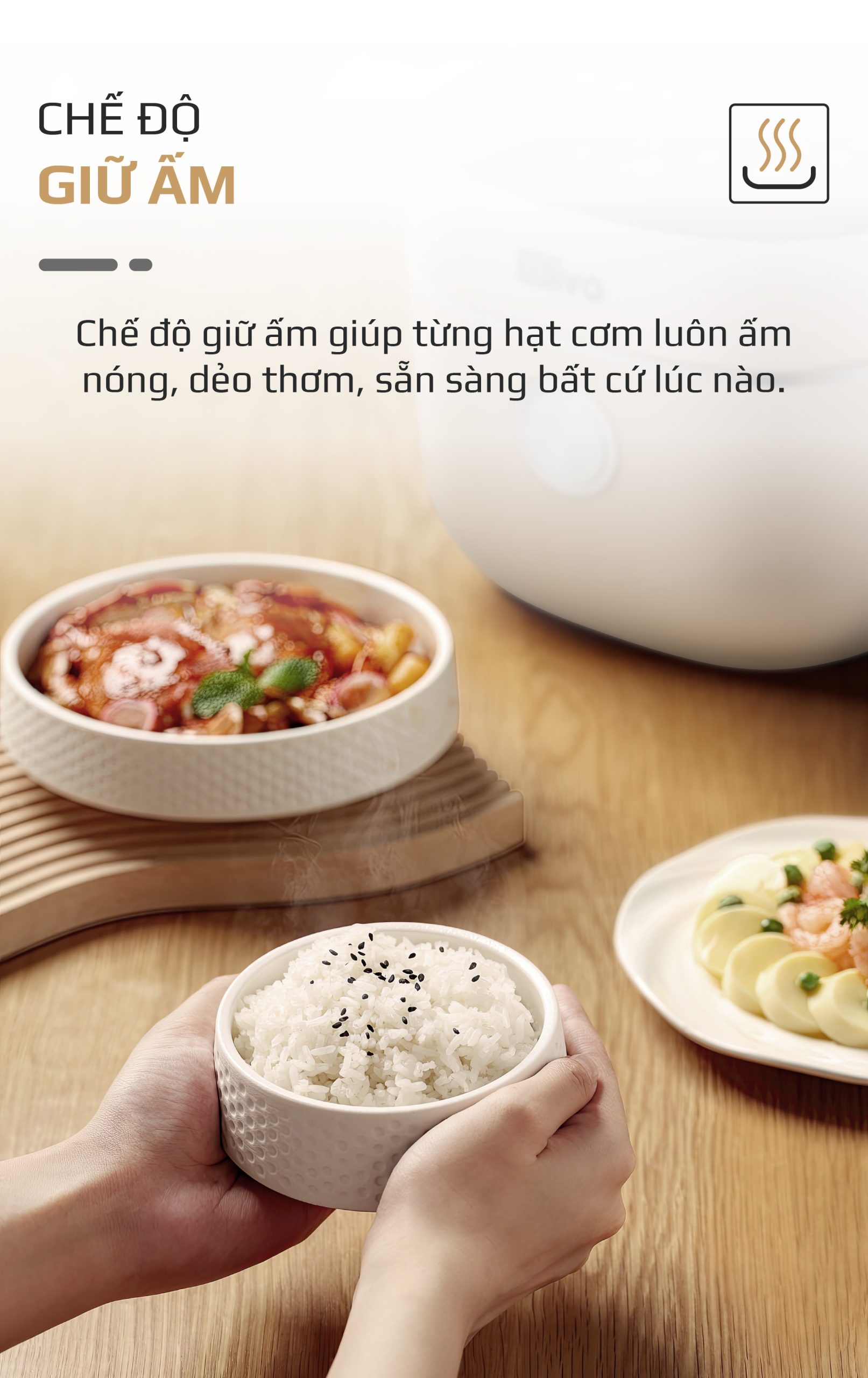 Nồi Cơm Điện Cao Tần OLIVO RC800IH