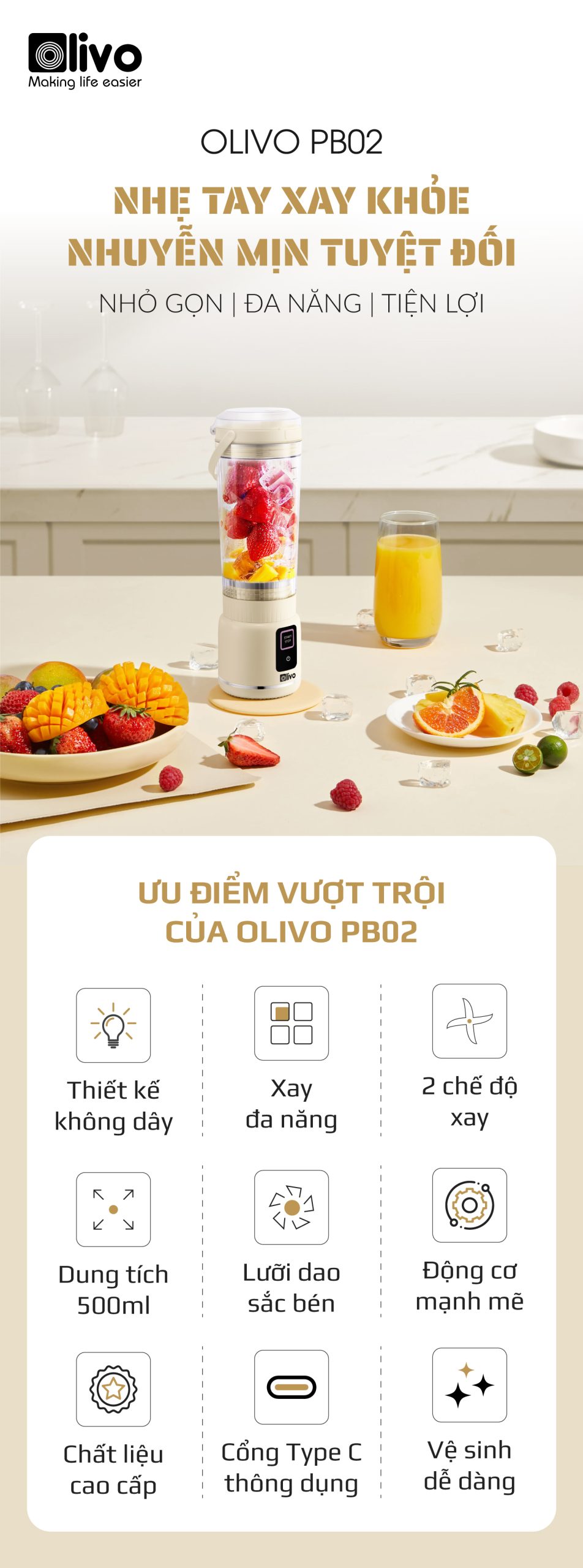 Máy Xay Sinh Tố Cầm Tay OLIVO PB02