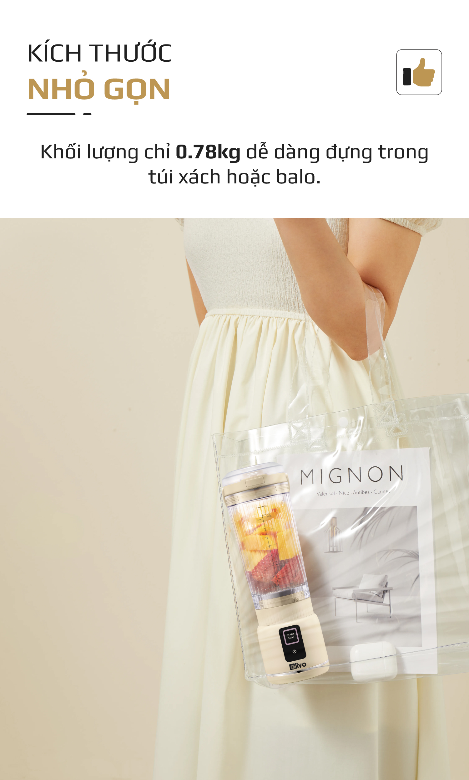 Máy Xay Sinh Tố Cầm Tay OLIVO PB02