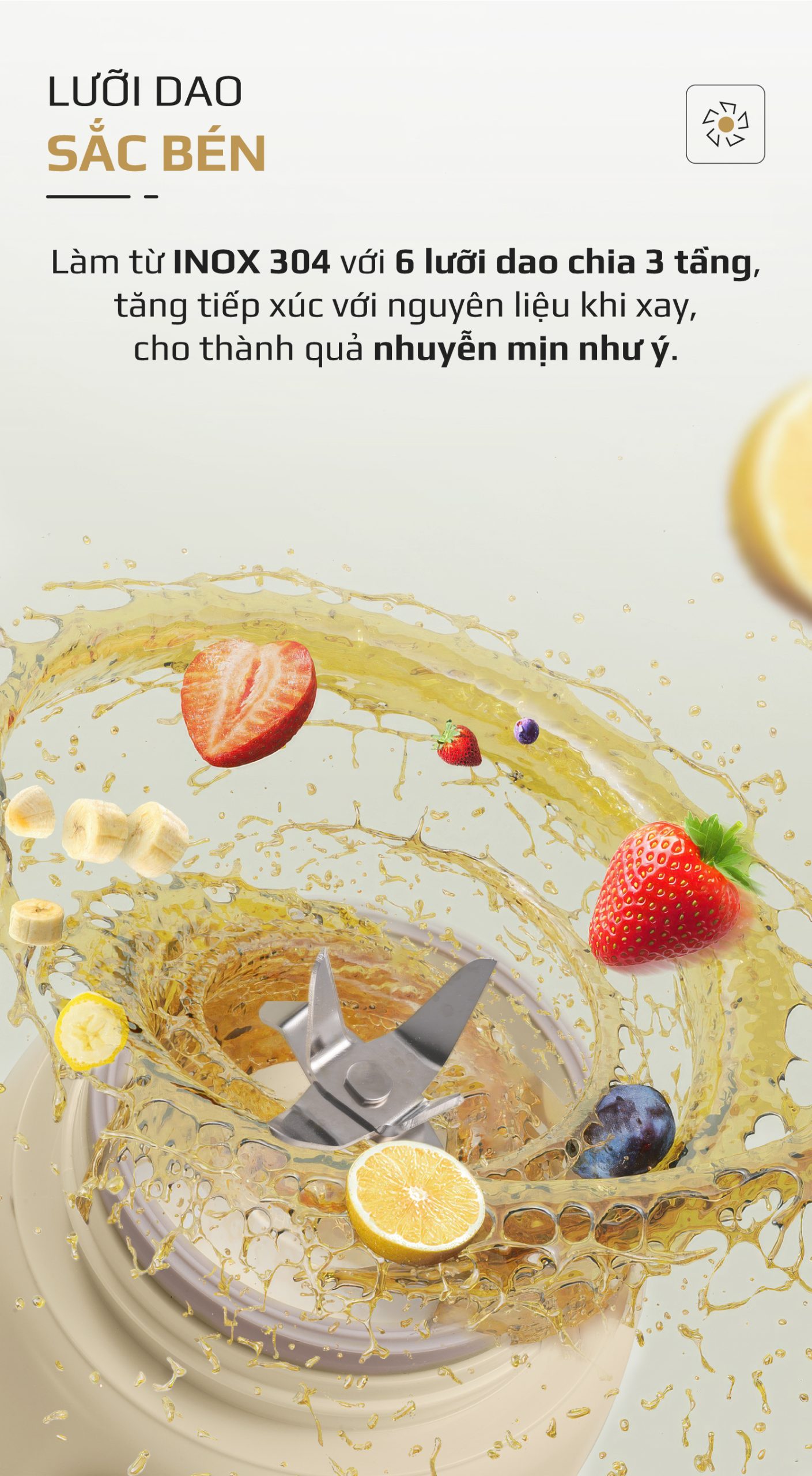 Máy Xay Sinh Tố Cầm Tay OLIVO PB02