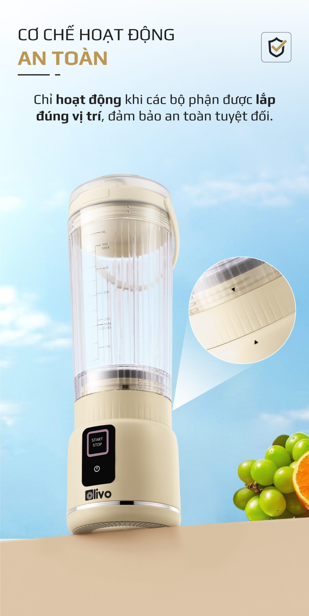 Máy Xay Sinh Tố Cầm Tay OLIVO PB02