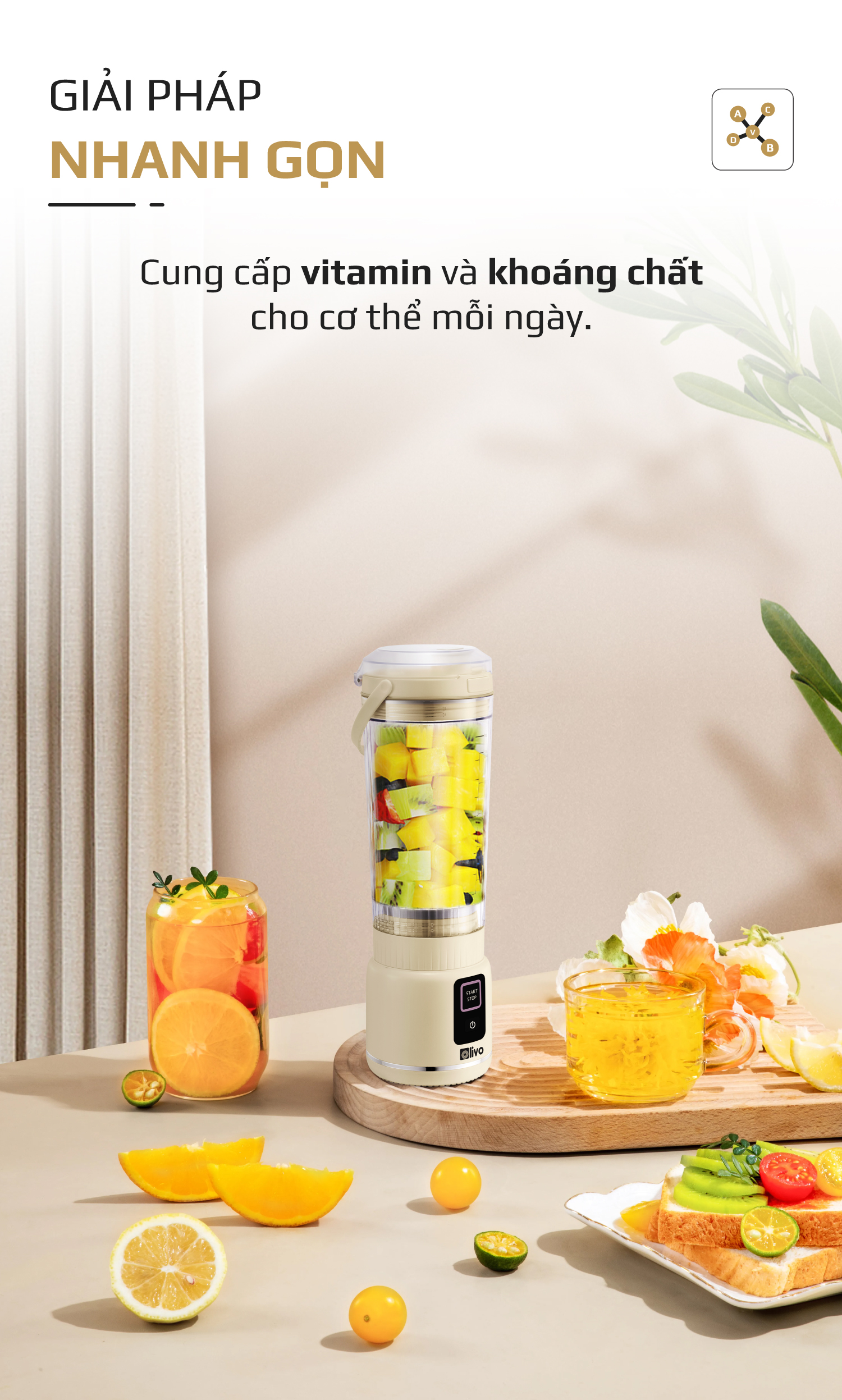 Máy Xay Sinh Tố Cầm Tay OLIVO PB02