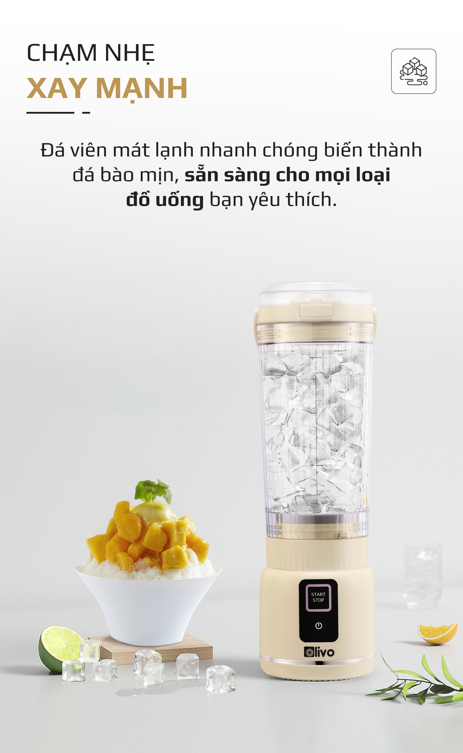 Máy Xay Sinh Tố Cầm Tay OLIVO PB02