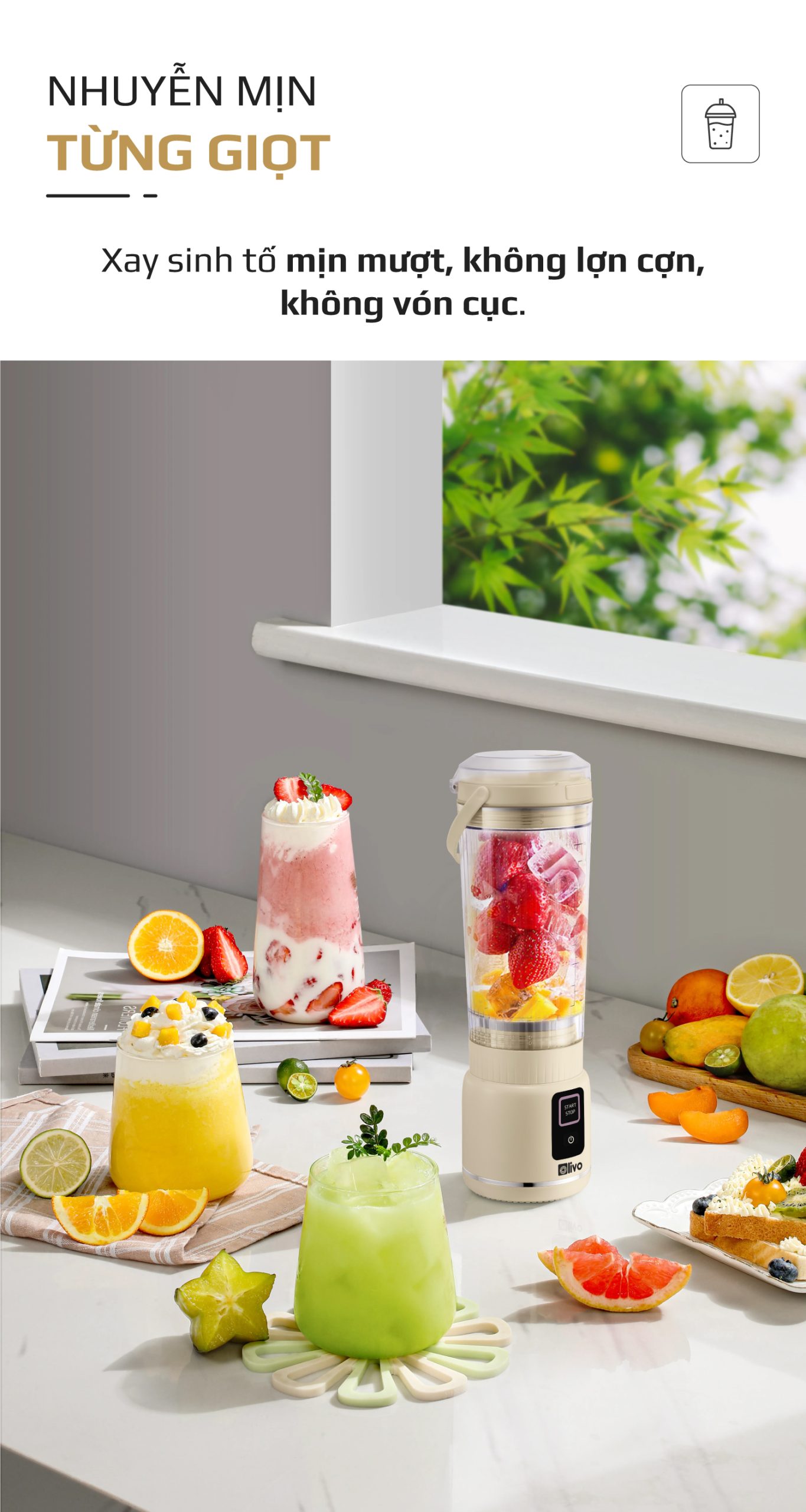 Máy Xay Sinh Tố Cầm Tay OLIVO PB02