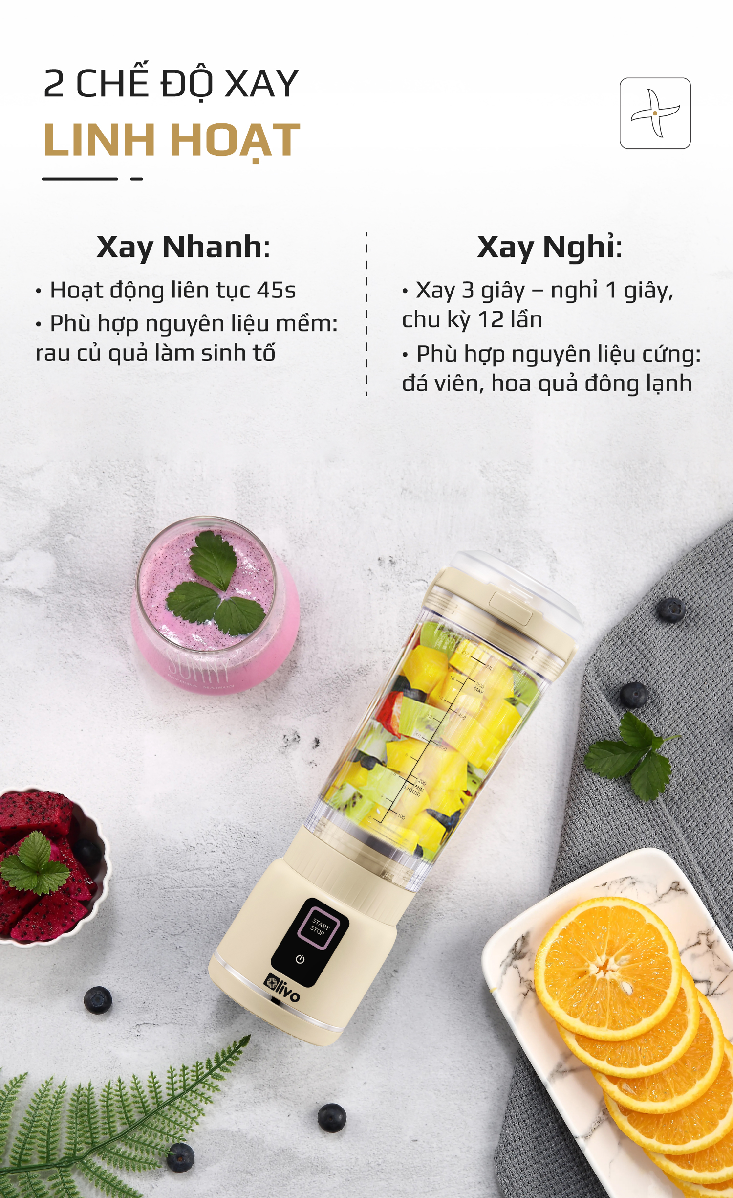 Máy Xay Sinh Tố Cầm Tay OLIVO PB02