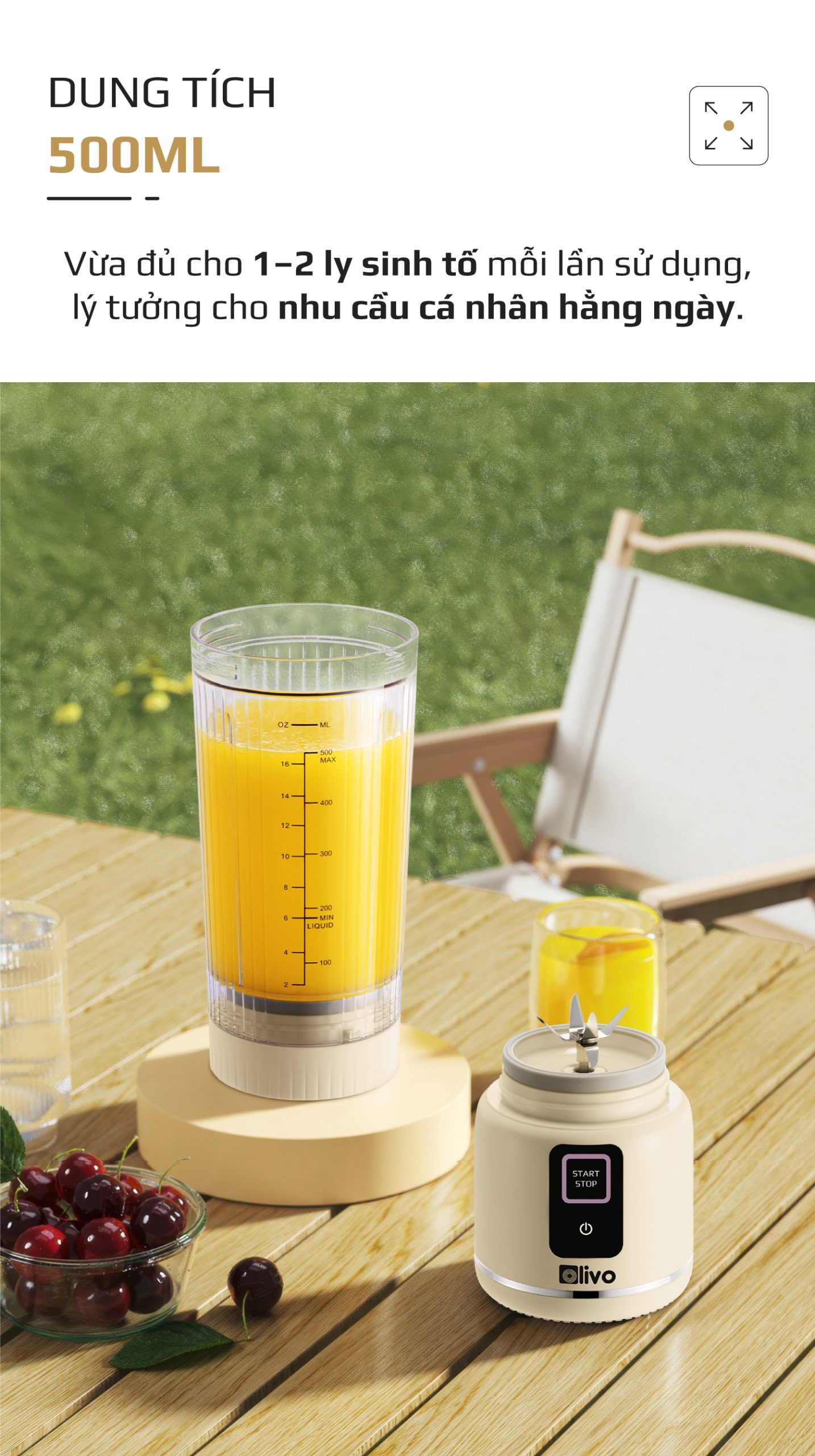 Máy Xay Sinh Tố Cầm Tay OLIVO PB02